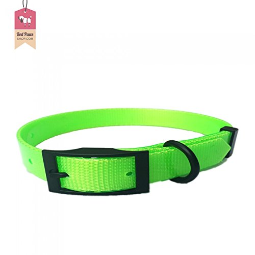 lime green collar