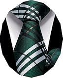 YourTies Boys Tie Green White Plaid Adjustable Pre-tied Clip on Kids Necktie Set Hanky Ages 8-14 School Uniforms Graduation