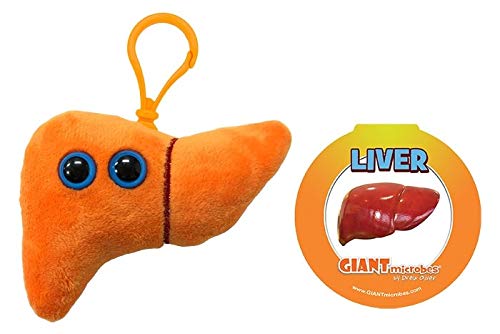 GIANTmicrobes Liver Plush Keychain – Anatomical Organ Toy, Get Well Gift for Post-Surgery or Illness, Unique Gift for Students, Educators, Doctors, Public Health Experts and Scientists