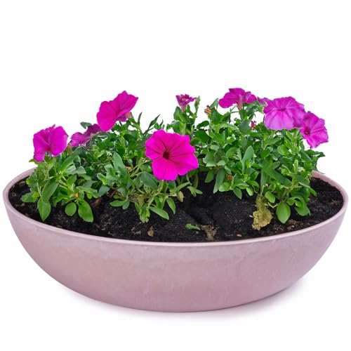 matches21 HOME & HOBBY Pflanzschale für draussen in alt-rosa...