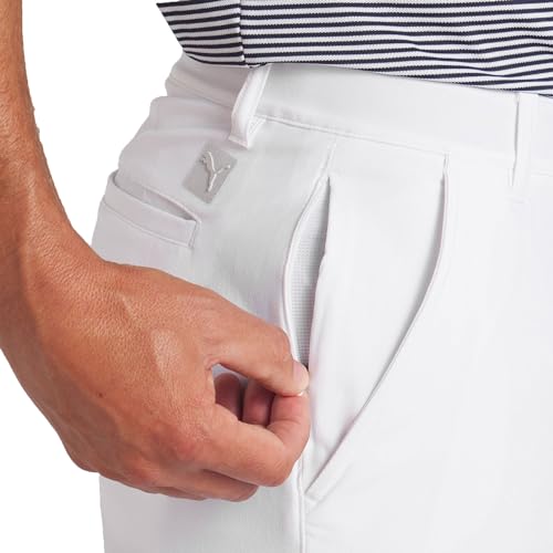 Image of PUMA Dealer Shorts 10