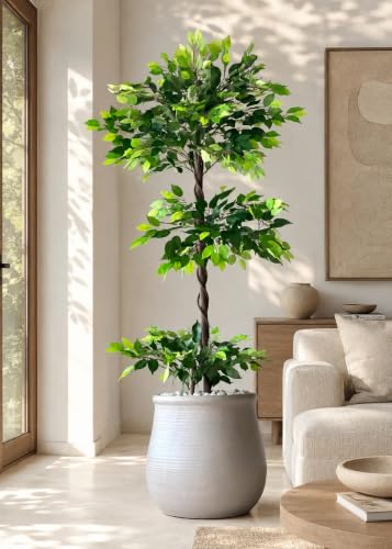 Image of Artificial Ficus Plant with Pot | 180 cm (6 ft) Tall | Premium Realistic Indoor Decorative Tree for Home, Office & Commercial Spaces
