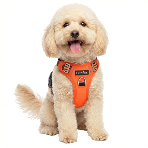 Funfox Dog Harness Small, No Pull Puppy Harness with Vertical Handle, 2 Leash Clips, Reflective Strips Night Walking, Anti Pull Adjustable Padded Pet Vest Size for Small Breed, Orange S option