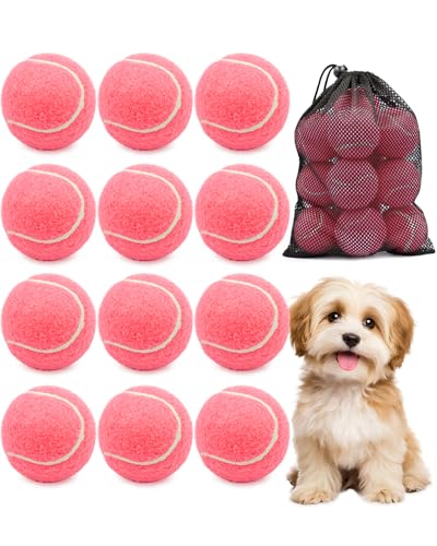 GOLDNITE Tennis Balls for Training and Dogs Pink 12 Pack Practice Tennis Ball with Mesh Bag for Transport and Beginner Exercise High Elasticity Durable Pet Playing Tennis Ball Set