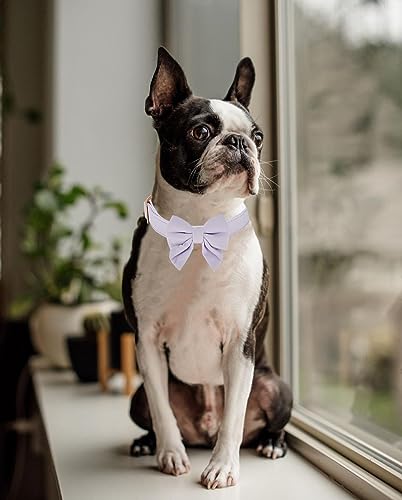 YUDOTE Bowtie Dog Collar Medium Soft Lightweight Blended Fabrics Made for Lively Girl Dogs Daily Use or Dress-up in Wedding,Party and more,Lilac - Image 3