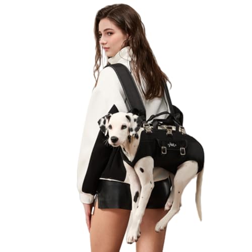 [GIIPET]n[lX ^ ybgXO obO R ptgn[lX ^SgpobNpbN ʋC O 둫 ⏕ ߉\ L[obO яoh~h Xgbv QҁAҁA֐ߑA萫p s