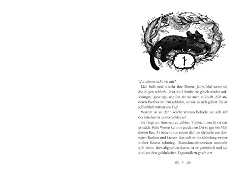 Caldera 1: Die Wächter des Dschungels