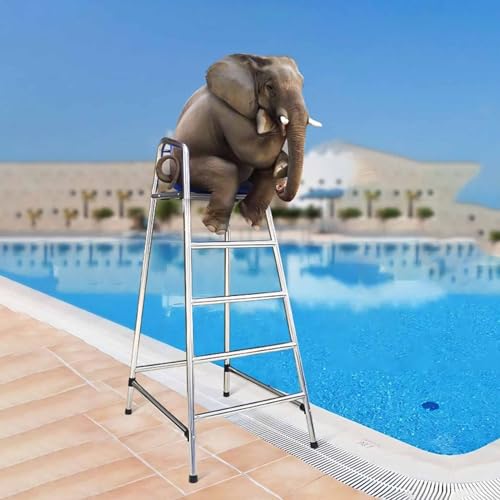 Silla de Salvavidas para Piscina 180 cm con Acero Inoxidable miniatura 1