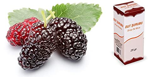 Talya Dut Şurubu 25 Ml