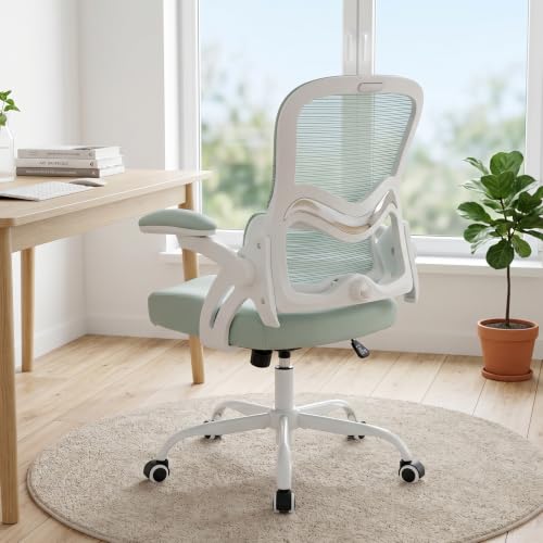 professional ergonomic chair owner review product image