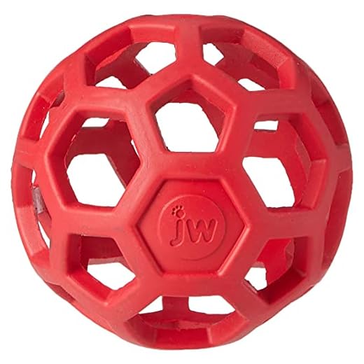 JW Hol-ee Roller Dog Toy Treat Ball