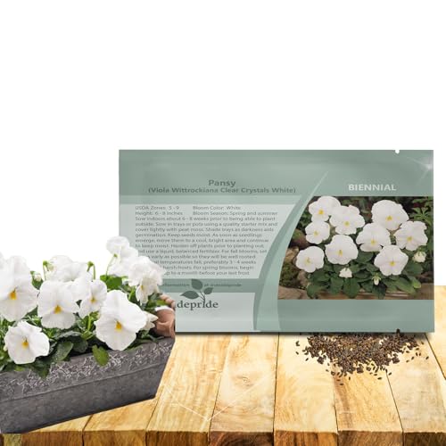 Outsidepride Crystal White Viola Pansy Seeds for Planting - 1000 Pcs. Biennial, Cold-Hardy & Pollinator Friendly Flowers with Fragrant Blooms for Garden Beds, Borders & Container Displays