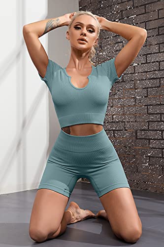 QINSEN Active Wear Outfits for Women Ribbed Seamless Sport Shorts Crop Tops 2 Piece Yoga Sets L - Image 4