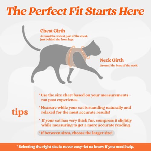 Image of rabbitgoo Cat Harness and Leash Set, Step-in Soft Vest, Orange