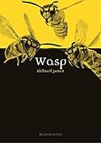 Wasp (Animal)