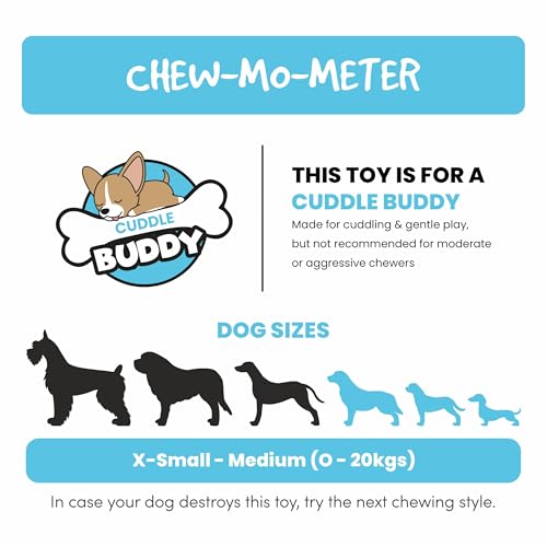 Image of BarkButler x FOFOS Summer Sea Turtle Dog Toy - Plush & Squeaky Toys for Dogs, Dog Toys for Medium Dogs (0-20kgs) - Green