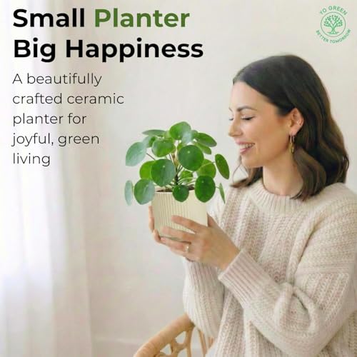Image of Yo Green Modern Ribbed Ceramic Planter Pot | White Matte Indoor Plant Pot for Home, Office & Living Room Decor (Modern Ribbed-4 Inch-Yellow)