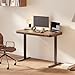FLEXISPOT Comhar Electric Standing Desk with Storage Drawer Desktop & Adjustable Frame w/USB Charge Ports, Home Office Sit Stand Computer Desk (Dark Walnut/Black, Wood)