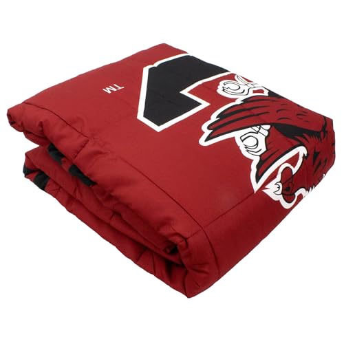 Image of College Covers Everything Comfy South Carolina Gamecocks Reversible Big Logo Soft and Colorful Comforter, Twin