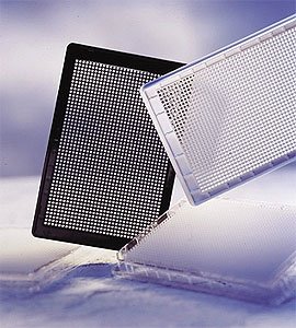 782279 Black Polypropylene MASTERBLOCK Storage Plate, 1536 Deep Well, Conical Bottom (Pack of 60)