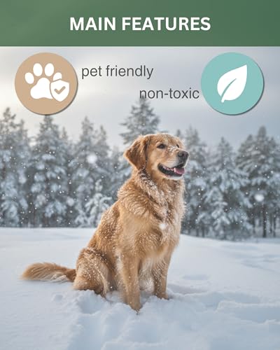 Image of Santa with Golden Retriever Air Freshener - Evergreen Scent - Cute Dog Car Freshener & Holiday Decoration - Pet Friendly, Non-Toxic, Long-Lasting Scent - Great Gift for Pet Lovers - Designed in USA
