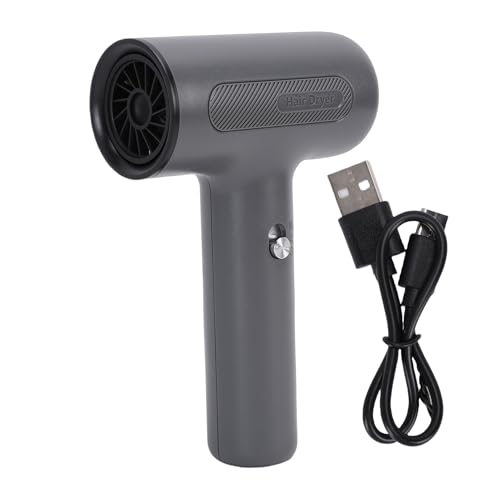 Tnfeeon Asciugacapelli, 500W Portatile Cordless Ricaricabile Asciugacapelli Motore Brushless per Dipinti Ad Acquerelli Controllo Lucentezza Capelli Morbidi Umidità Viaggi Campeggi (GRAY)