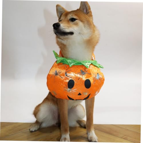 Disfraz de calabaza Halloween para perros y gatos pequeño miniatura 5