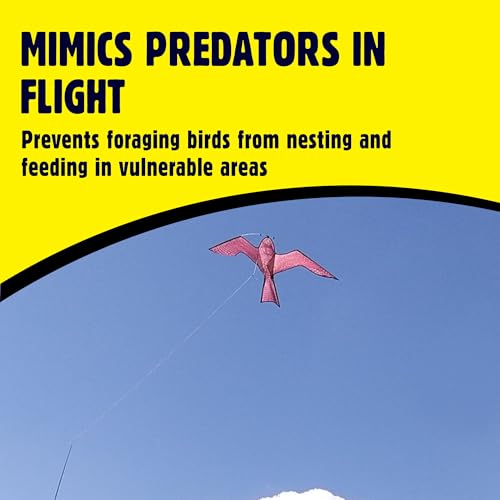 Defenders Hawk Kite (Humane Effective Bird Scarer for Buildings, Gardens, Crops)
