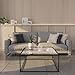 Glass Coffee Table Modern Center Table,Minimalist Coffee Table Sofa Side Tea Table for Living Room,Tempered Glass-top with Sturdy Metal Frame, Easy Assembly,26.4 x 26.4 x 15.7 Inches, Black