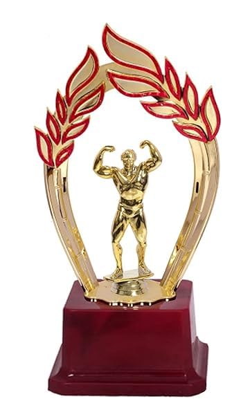 BE TREND Best Body Builder Trophy for Body Building Competitions/Tournament | Bodybuilder Sports Trophies & Award for Gym Bodybuilding Championship & Events (Fiber Arch Designed Trophy Pack of 1) (B0D47KD49T) Amazon Price History, Amazon Price Tracker
