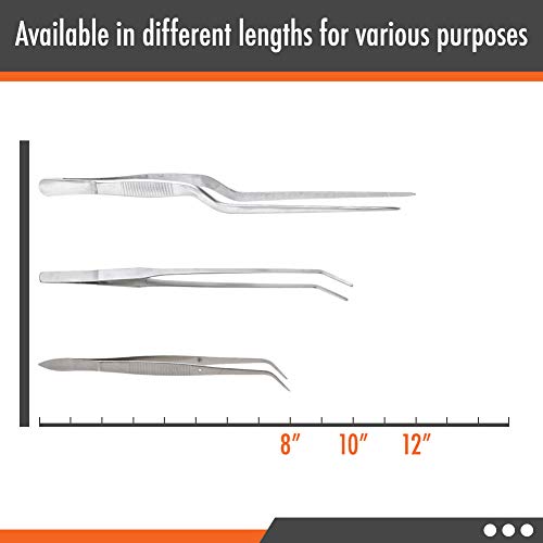 12 Inch Kitchen Long Tweezers Tongs, Cooking Tweezers Stainless Steel, Ideal for Meat Pasta Plating Pinching Delicate Small Pieces of Food - Thumbnail 6