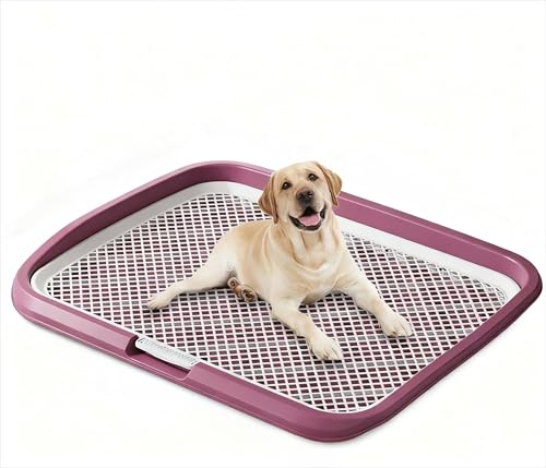 Xy[XgCg[  gC  gCg[ Ch ϋvh݌v ^Ή ybgpgC V[cΉ Ch݌v gCg[ pgC{bNX/O ^ ^ (sN 65*50*6.5cm)