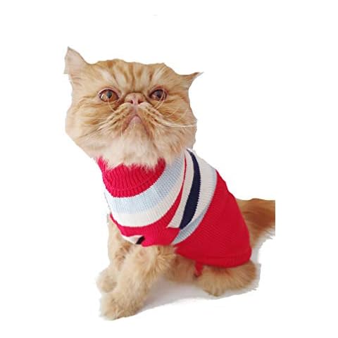 Jersey grande de invierno para perros grandes a rayas rojo y blanco Cover