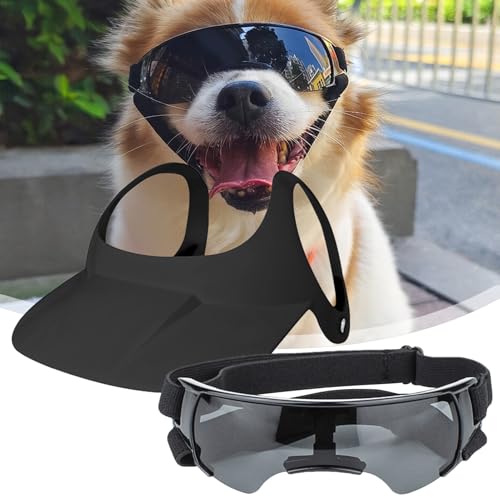 Casquettes pour chien protégeant les yeux sensibles des chiots