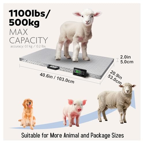 Image of Charmline 1100lbs x 0.2lbs High Accuracy Digital Postal Scale with 41x21 in Large Stainless Steel Platform, Heavy Duty Scale for Dog, Pig, Goat Sheep, Battery & AC Adapter Powered, Slip-Resistant