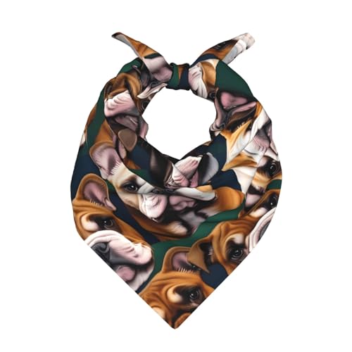 Halstuch für Damen und Herren mit niedlichem Paisleymuster, Motiv: Englische Bulldogge, Kopfbedeckung, Gesichtsmaske.