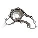 PAROD AW6169 Water Pump Fit for [3.6L V6] Jeep Grand Cherokee, Chrysler 200 300, Dodge Avenger Challenger Durango Grand Caravan, Ram 1500 Classic, C/V, Promaster 1500, Promaster 2500 3500, VW Routan