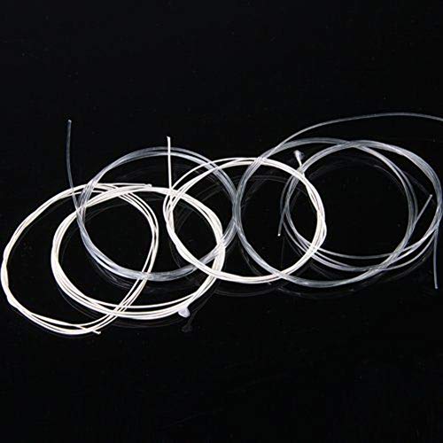 Geshiglobal Lot de 6 cordes de rechange en nylon pour guitare classique, mi, la, ré, sol, si, mi - Les Beatles, Paul McCartney, John Lennon, RIngo Starr, George Harrison Geshiglobal Lot de 6 cordes de rechange en nylon pour guitare classique, mi, la, ré, sol, si, mi – Image 5