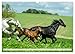 Elegant Horses - Exuberant and Carefree (Wall Calendar 2026 DIN A3 Landscape), CALVENDO Monthly Calendar: Horses in Trot and Gallop on the Paddle (CALVENDO Animals)