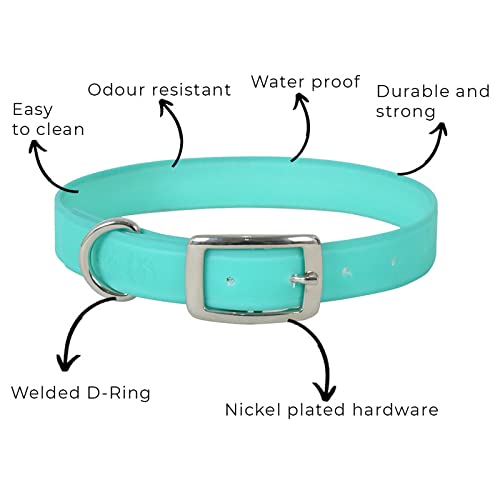 Image of Lightweight, Waterproof & Odour Proof Dog Collar - Large, Turquoise