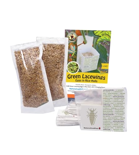 NaturesGoodGuys - Green Lacewing Eggs 5000 Count
