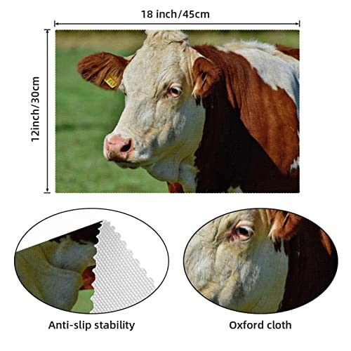 Sets de table rectangulaires 30x45cm bétail et vache pour salle à manger