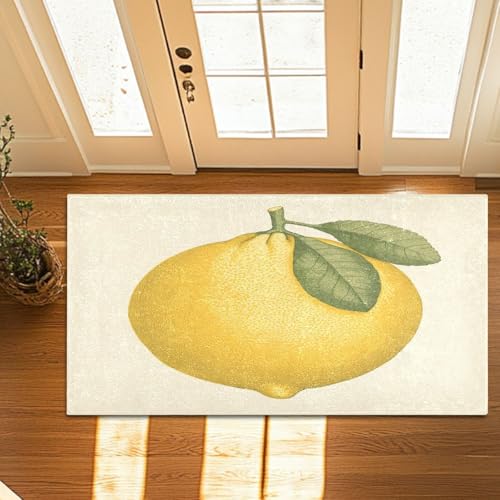 Door Mat Indoor Entrance, Super Absorbent Microfiber Door Mat, Non-Slip Washable Pet Rug, Entryway Carpet, Cute Lemon (5) Machine Washable Outdoor mat, 20