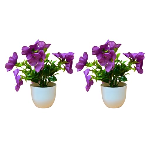 Image of fancymart Artificial Real Touch Flower Plant with Pot (Pack of 2), 16 cm Height, Decorative Faux Floral Plant for Home, Office, Living Room, Bedroom, Table & Shelf Decor