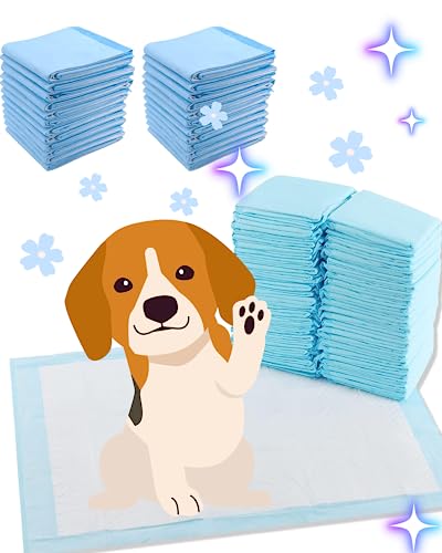 Image of Dog and Puppy Pet Pee Training Pads with Odor-Eliminating Leak-Proof Quick-Dry Design, Potty Training, Super Absorbency, Regular Size, 17.7 x 13 Inches, Pack of 100, Blue & White