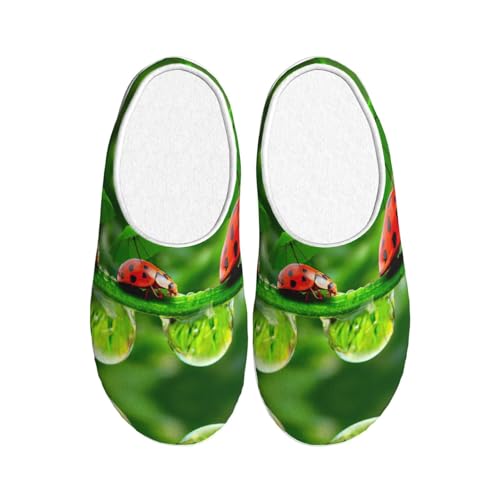 Chaussons peluche EdWal antidérapants pour soulager les pieds froids sur le carrelage