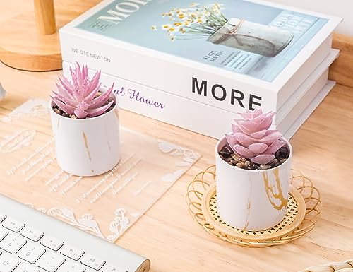 Der-Rose-Set-of-2-Succulents-Plants-Artificial-Mini-Fake-Succulents-Plants-for-Home-Office-Desk-Accessories-for-Women