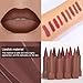 BINGBRUSH 2-in-1 Gradient Dark Brown Lip Liner & Lipstick Combo,Matte Longwear Waterproof Lip Pencil with Cone Tip,Smudge Proof Crayon for Flawless Ombre Contour,Women's Long Lasting Makeup Set