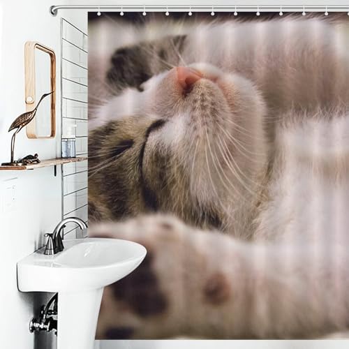 Rideau de douche chat imperméable pour stopper les éclaboussures au sol