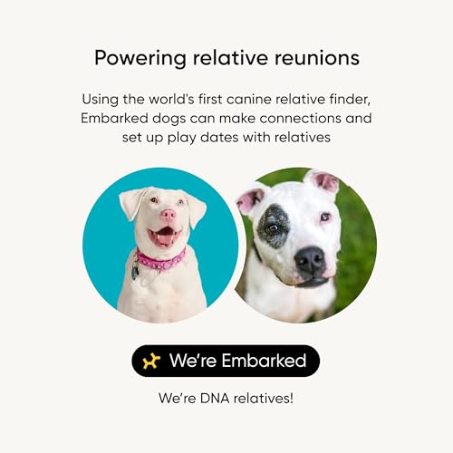 embark breed identification kit - most accurate dog dna testing kit - 99 breed ancestry accuracy for mixed breed dogs - plus relative finder amp family tree